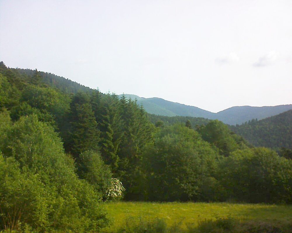 Le petit ballon vu depuis le Domaine Langmatt à Murbach le 09.06.2025 à 08:45 Le petit ballon (Alsace, Vosges) le 09.06.2025 à 08:45