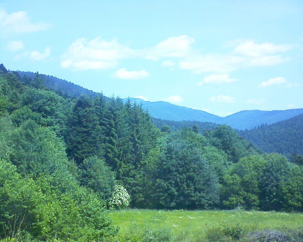 Le petit ballon vu depuis le Domaine Langmatt à Murbach le 09.06.2025 à 11:45 Le petit ballon (Alsace, Vosges) le 09.06.2025 à 11:45