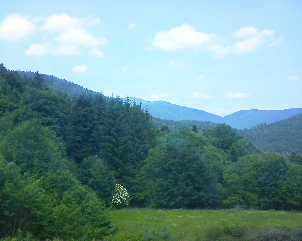 Le petit ballon vu depuis le Domaine Langmatt à Murbach le 09.06.2025 à 13:45 Le petit ballon (Alsace, Vosges) le 09.06.2025 à 13:45