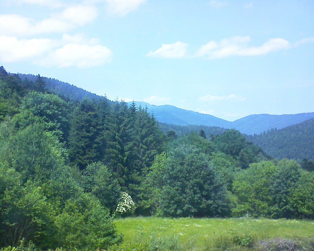 Le petit ballon vu depuis le Domaine Langmatt à Murbach le 09.06.2025 à 14:30 Le petit ballon (Alsace, Vosges) le 09.06.2025 à 14:30