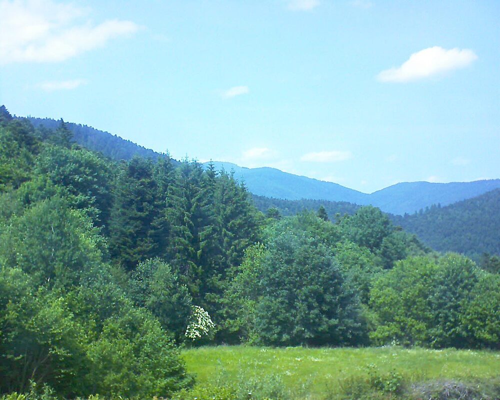 Le petit ballon vu depuis le Domaine Langmatt à Murbach le 09.06.2025 à 14:45 Le petit ballon (Alsace, Vosges) le 09.06.2025 à 14:45