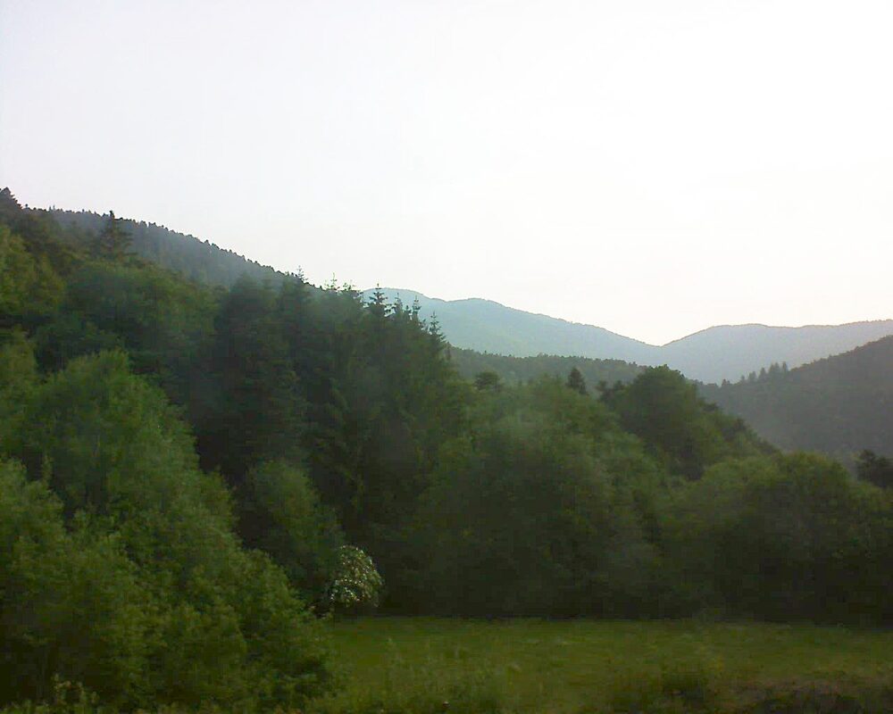 Le petit ballon (Alsace, Vosges) le 10.06.2025 à 06:45