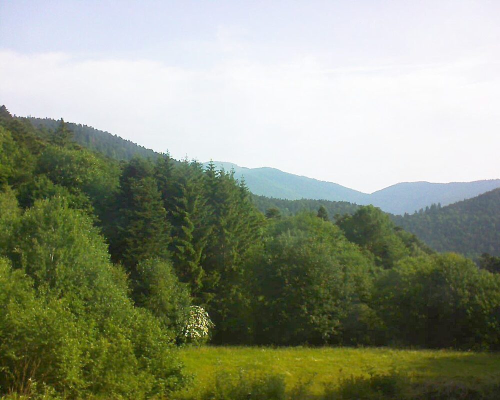 Le petit ballon vu depuis le Domaine Langmatt à Murbach le 10.06.2025 à 08:45 Le petit ballon (Alsace, Vosges) le 10.06.2025 à 08:45
