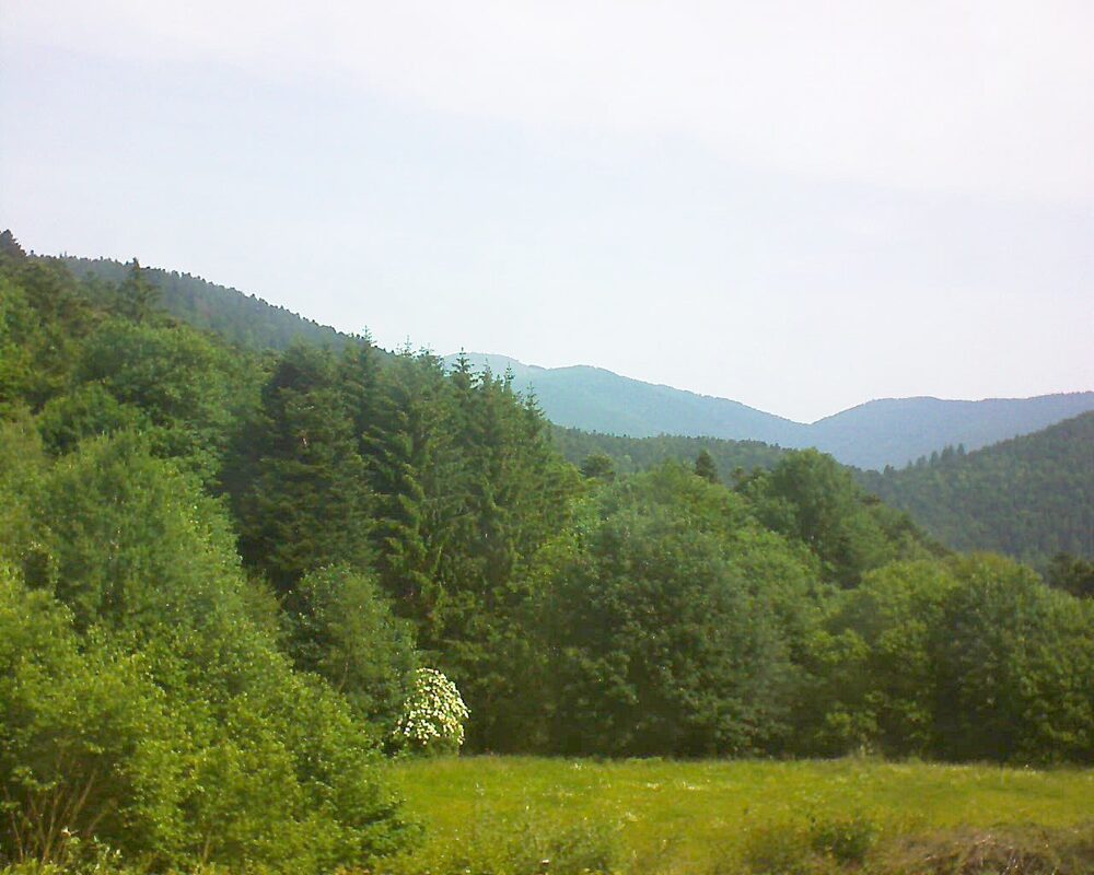 Le petit ballon vu depuis le Domaine Langmatt à Murbach le 10.06.2025 à 10:45 Le petit ballon (Alsace, Vosges) le 10.06.2025 à 10:45