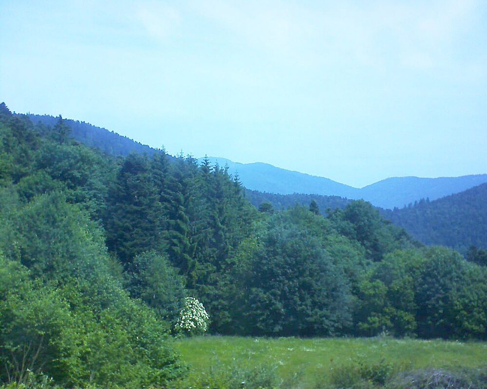 Le petit ballon vu depuis le Domaine Langmatt à Murbach le 10.06.2025 à 11:45 Le petit ballon (Alsace, Vosges) le 10.06.2025 à 11:45