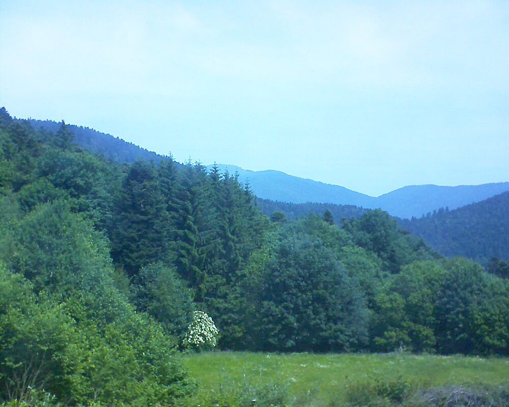 Le petit ballon vu depuis le Domaine Langmatt à Murbach le 10.06.2025 à 12:00 Le petit ballon (Alsace, Vosges) le 10.06.2025 à 12:00