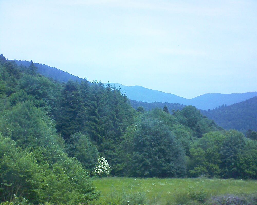 Le petit ballon vu depuis le Domaine Langmatt à Murbach le 10.06.2025 à 12:45 Le petit ballon (Alsace, Vosges) le 10.06.2025 à 12:45