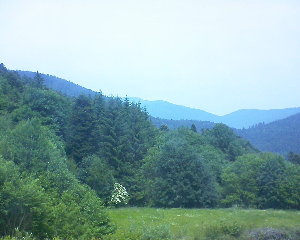 Le petit ballon vu depuis le Domaine Langmatt à Murbach le 10.06.2025 à 13:30 Le petit ballon (Alsace, Vosges) le 10.06.2025 à 13:30