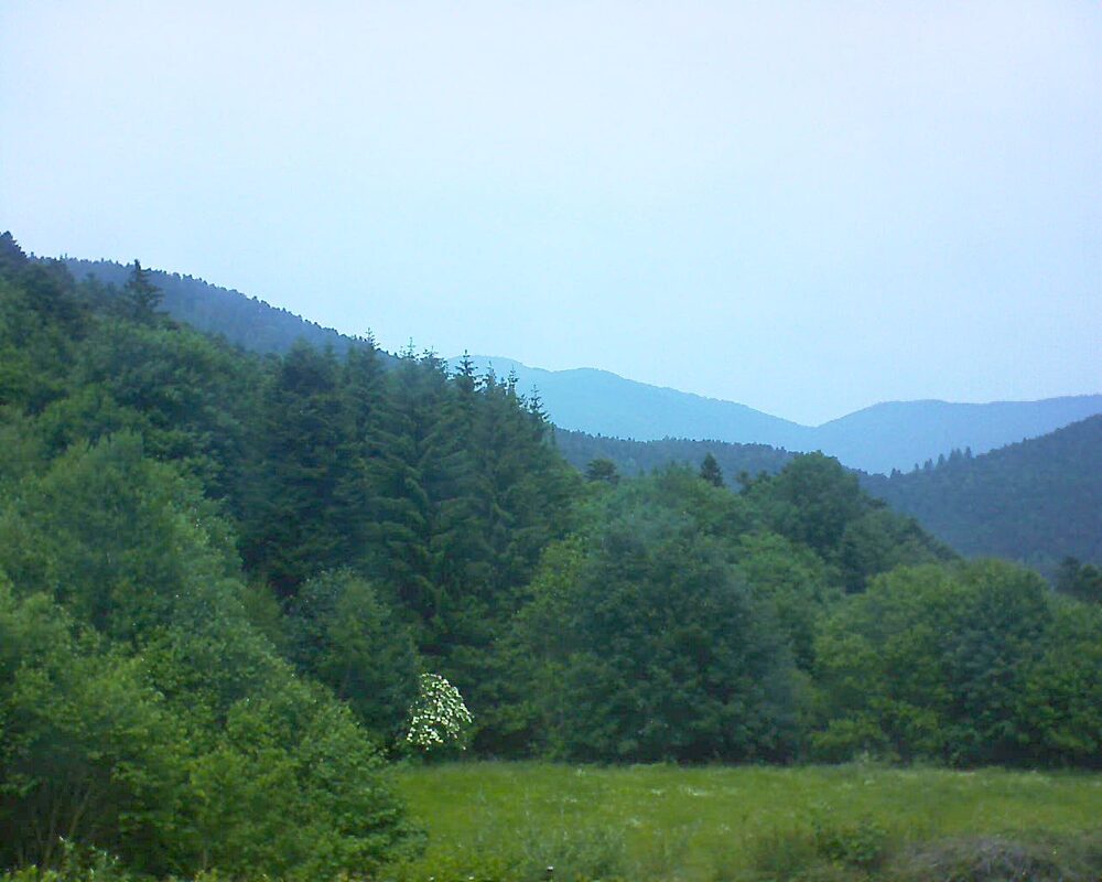 Le petit ballon vu depuis le Domaine Langmatt à Murbach le 10.06.2025 à 13:45 Le petit ballon (Alsace, Vosges) le 10.06.2025 à 13:45