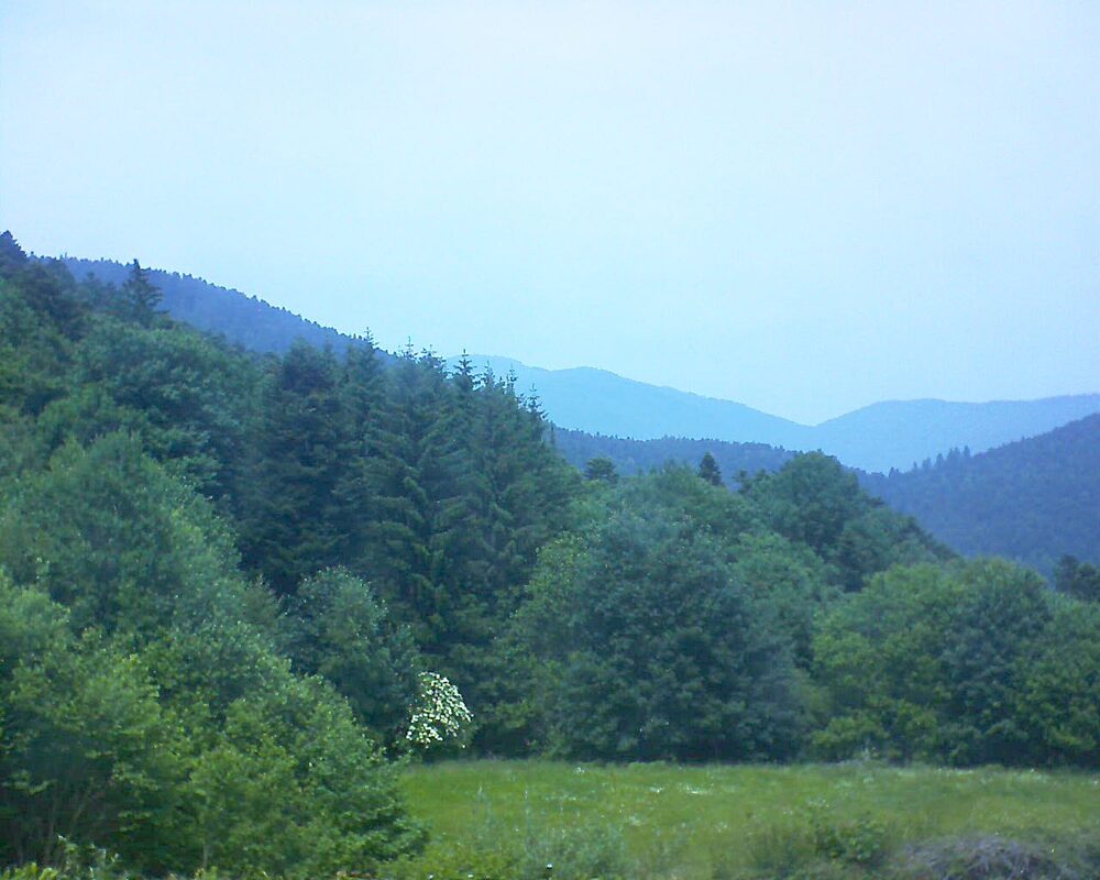 Le petit ballon vu depuis le Domaine Langmatt à Murbach le 10.06.2025 à 14:00 Le petit ballon (Alsace, Vosges) le 10.06.2025 à 14:00