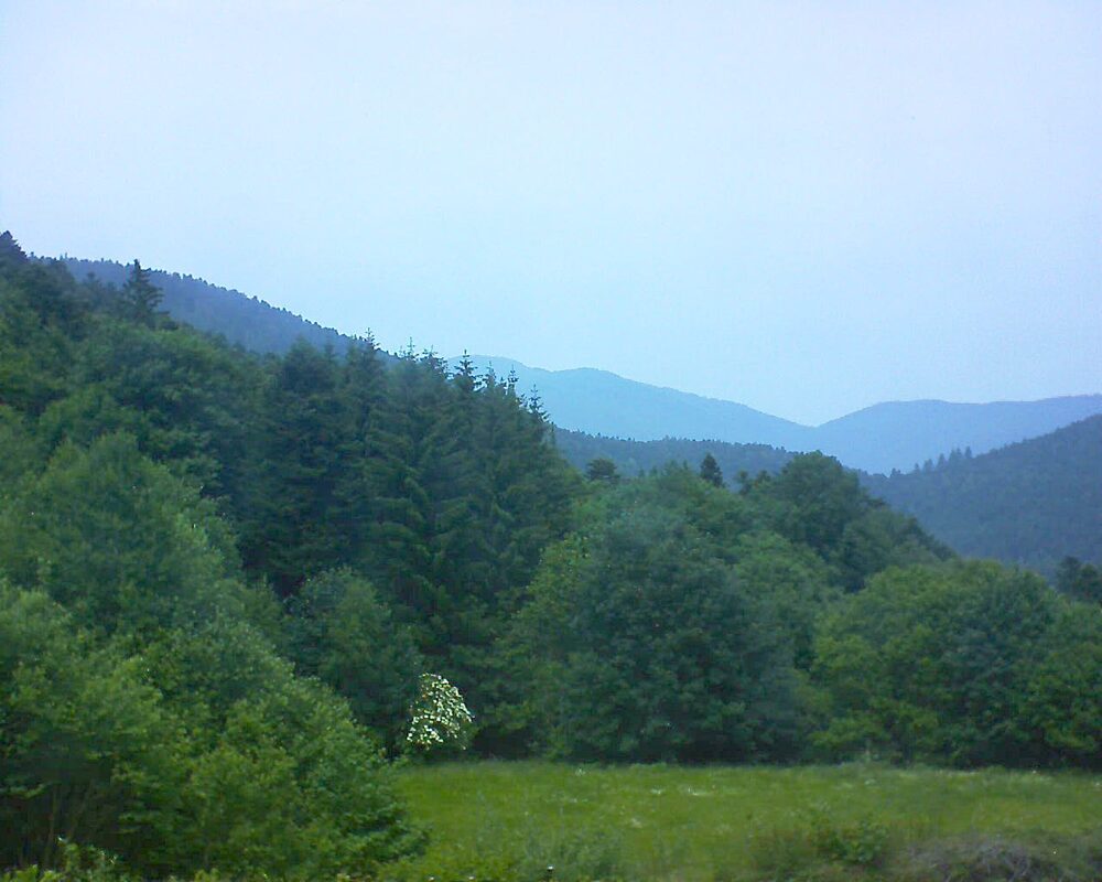 Le petit ballon vu depuis le Domaine Langmatt à Murbach le 10.06.2025 à 14:15 Le petit ballon (Alsace, Vosges) le 10.06.2025 à 14:15