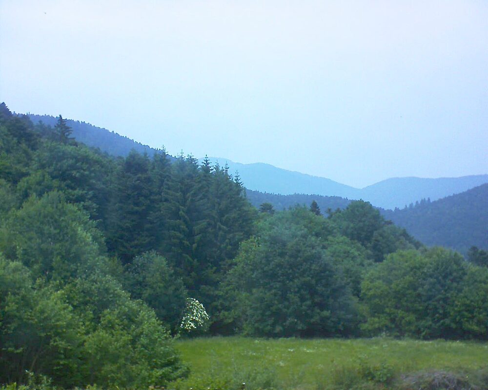 Le petit ballon vu depuis le Domaine Langmatt à Murbach le 10.06.2025 à 14:45 Le petit ballon (Alsace, Vosges) le 10.06.2025 à 14:45