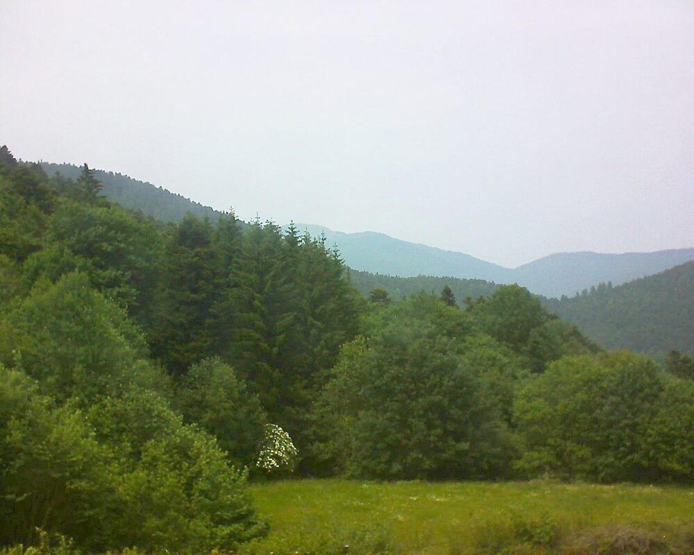 Le petit ballon (Alsace, Vosges) le 10.06.2025 à 15:00