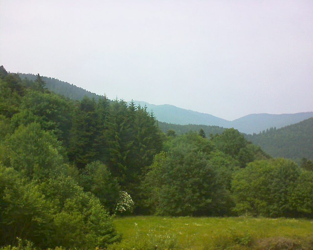Le petit ballon vu depuis le Domaine Langmatt à Murbach le 10.06.2025 à 15:30 Le petit ballon (Alsace, Vosges) le 10.06.2025 à 15:30