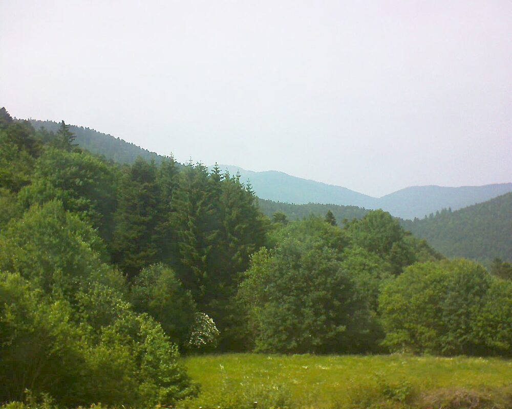 Le petit ballon (Alsace, Vosges) le 10.06.2025 à 15:45