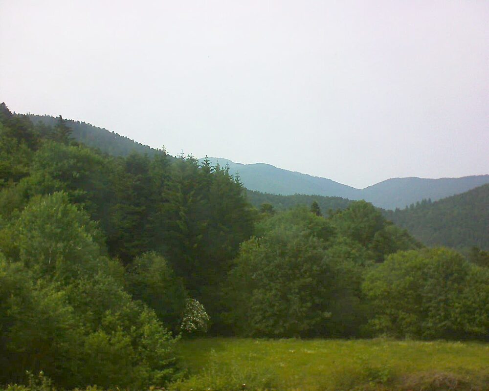 Le petit ballon vu depuis le Domaine Langmatt à Murbach le 10.06.2025 à 16:45 Le petit ballon (Alsace, Vosges) le 10.06.2025 à 16:45