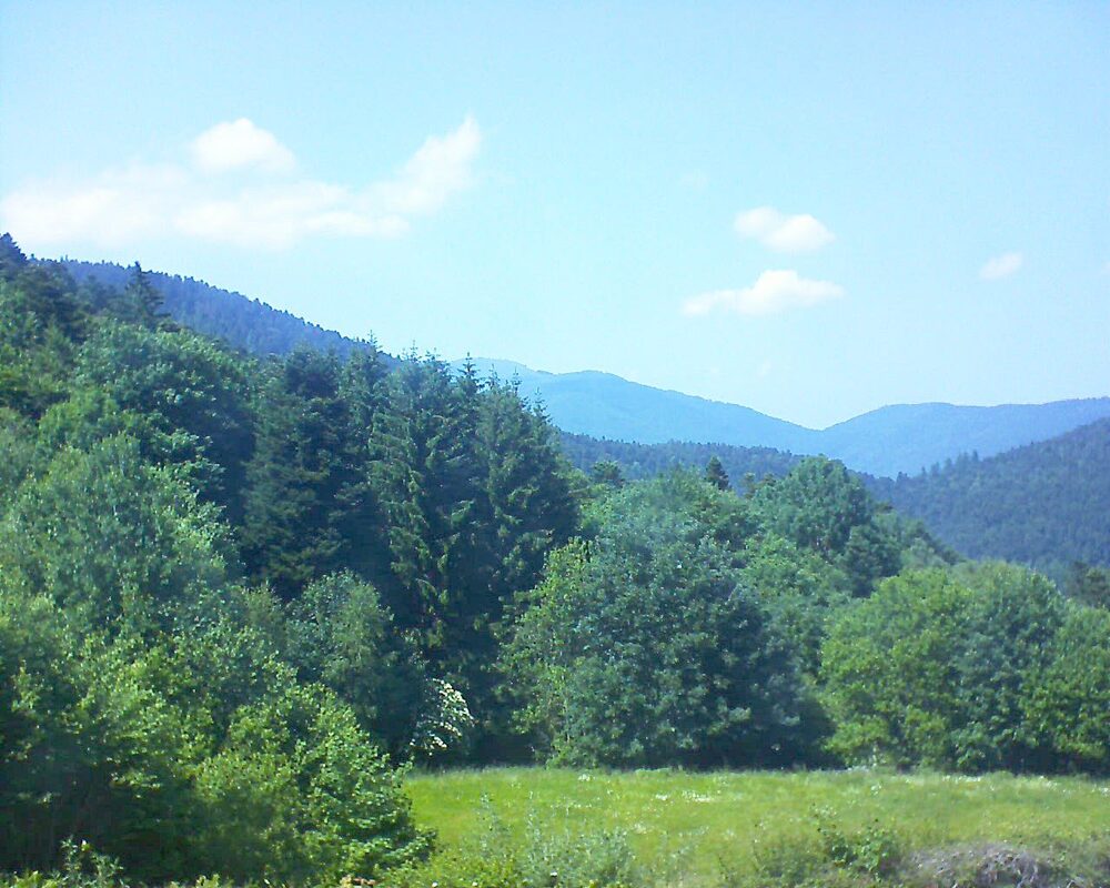 Le petit ballon vu depuis le Domaine Langmatt à Murbach le 11.06.2025 à 15:30 Le petit ballon (Alsace, Vosges) le 11.06.2025 à 15:30