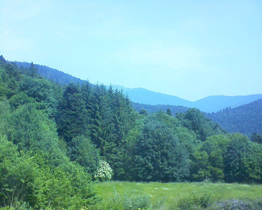 Le petit ballon vu depuis le Domaine Langmatt à Murbach le 13.06.2025 à 11:45 Le petit ballon (Alsace, Vosges) le 13.06.2025 à 11:45