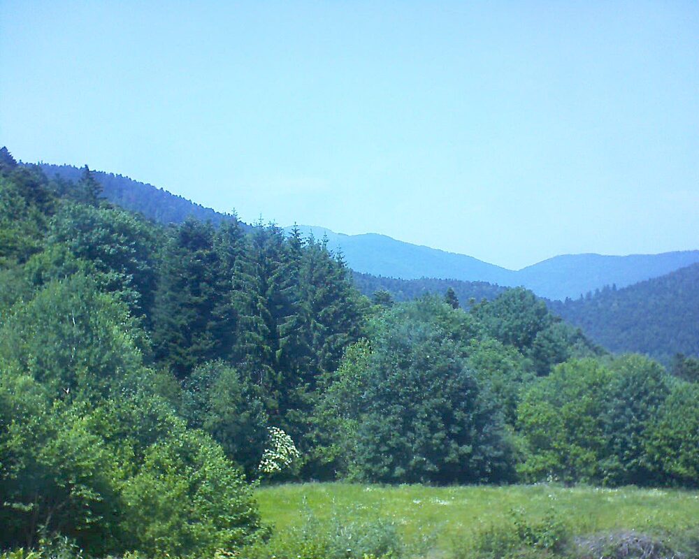 Le petit ballon vu depuis le Domaine Langmatt à Murbach le 13.06.2025 à 14:45 Le petit ballon (Alsace, Vosges) le 13.06.2025 à 14:45