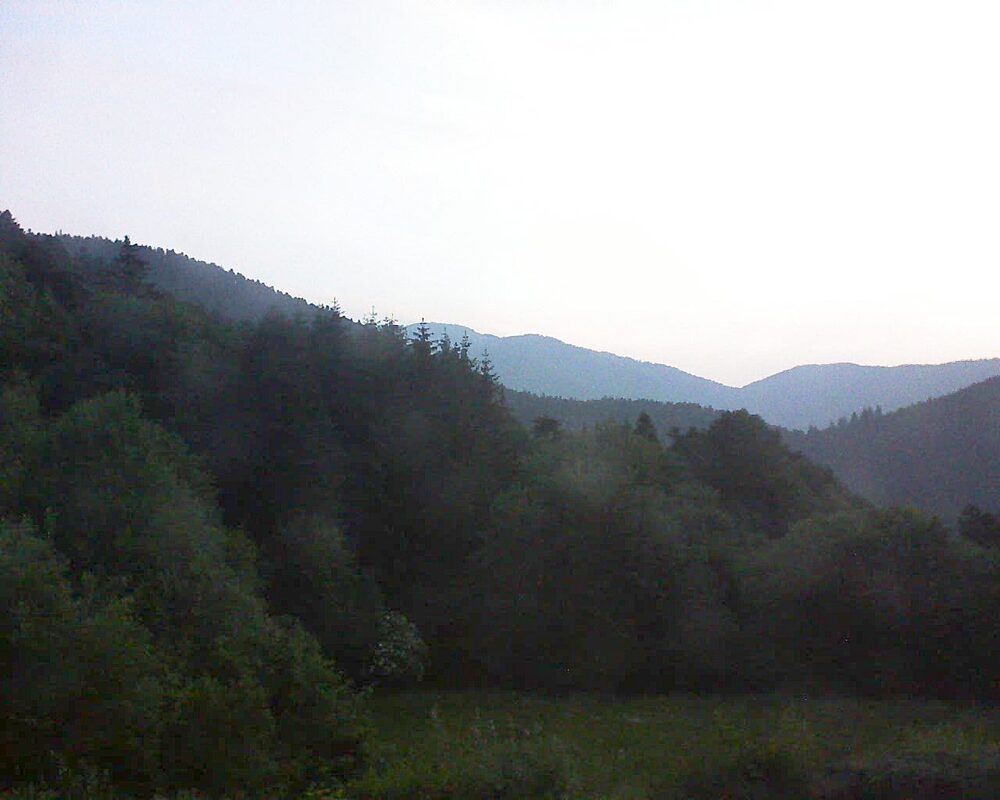 Le petit ballon (Alsace, Vosges) le 14.06.2025 à 05:15