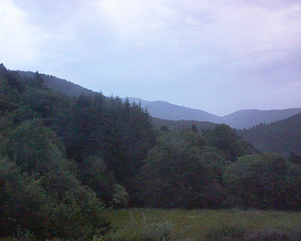 Le petit ballon (Alsace, Vosges) le 15.06.2025 à 05:30