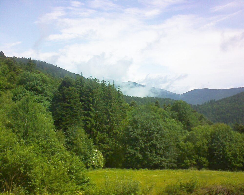 Le petit ballon (Alsace, Vosges) le 15.06.2025 à 11:15