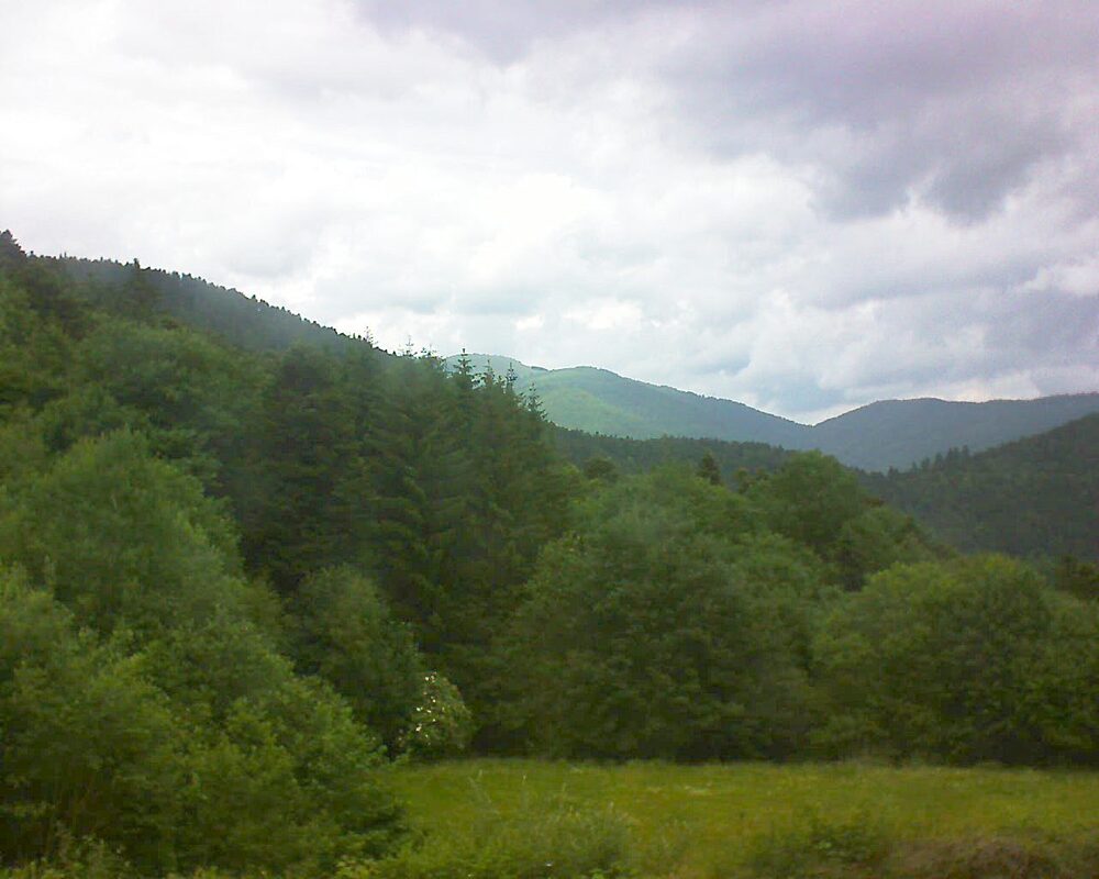 Le petit ballon (Alsace, Vosges) le 15.06.2025 à 14:15