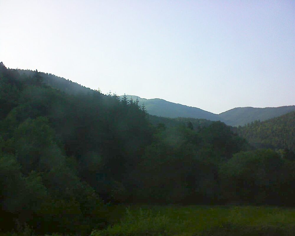 Le petit ballon (Alsace, Vosges) le 16.06.2025 à 19:30