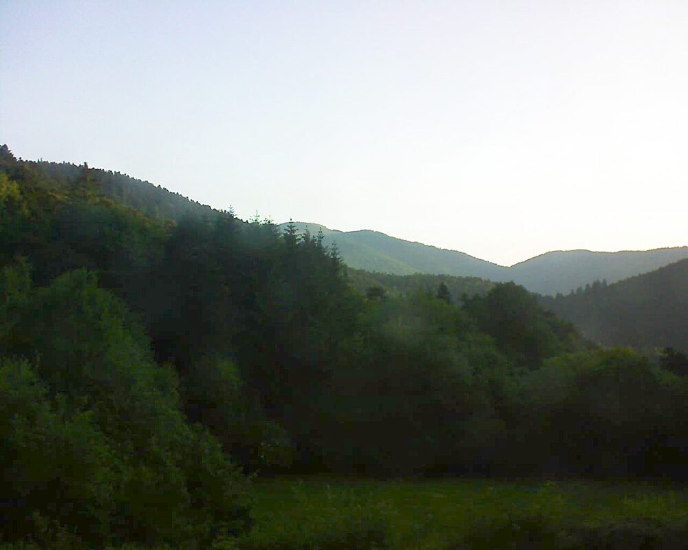 Le petit ballon (Alsace, Vosges) le 17.06.2025 à 06:30