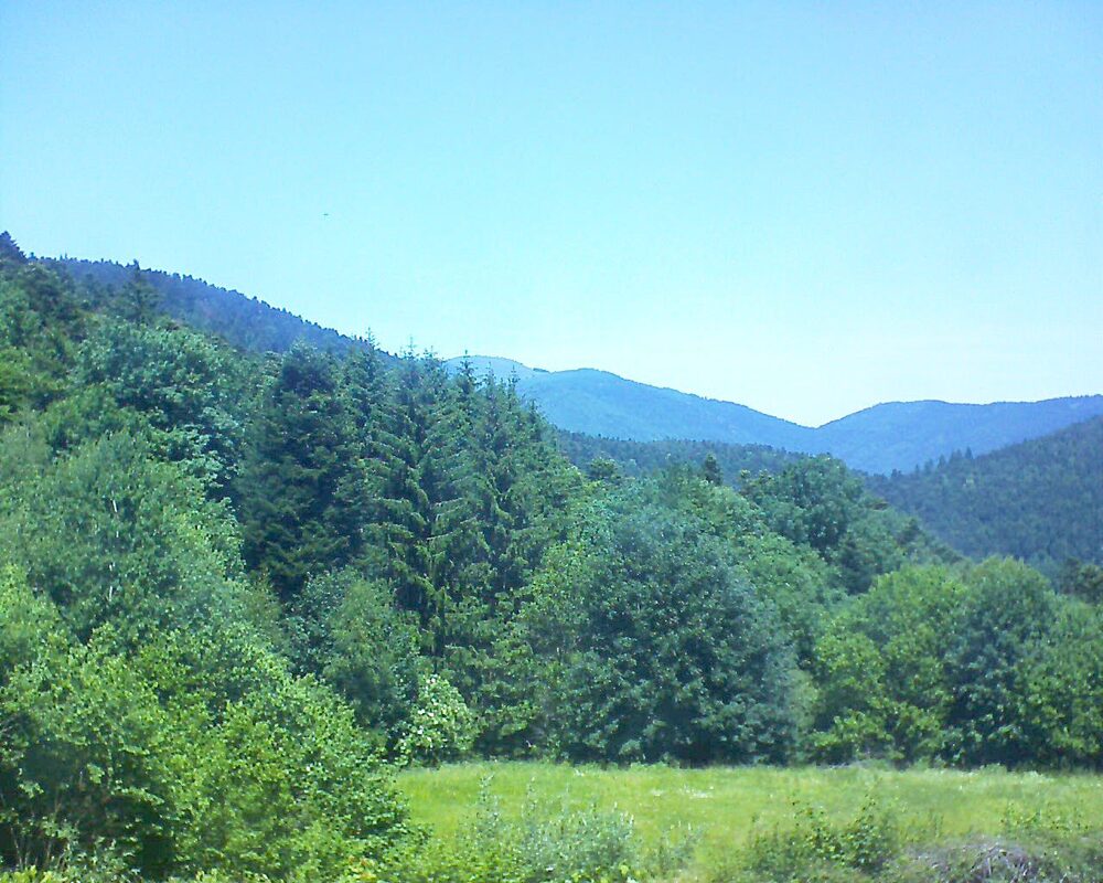 Le petit ballon (Alsace, Vosges) le 17.06.2025 à 13:15