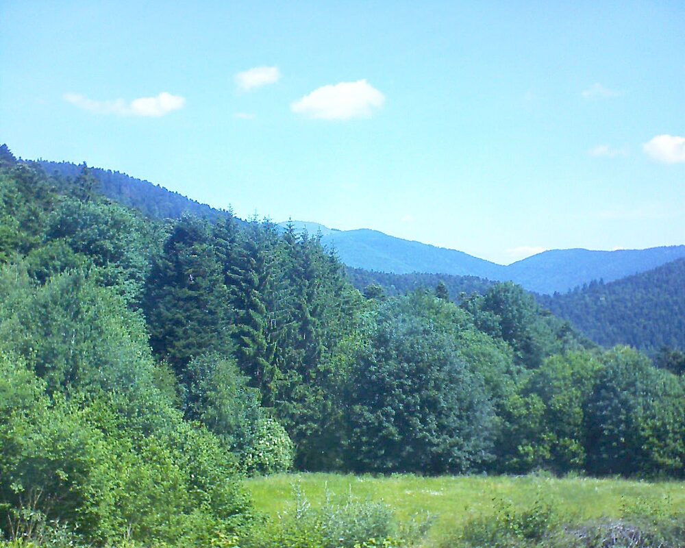 Le petit ballon (Alsace, Vosges) le 18.06.2025 à 11:15