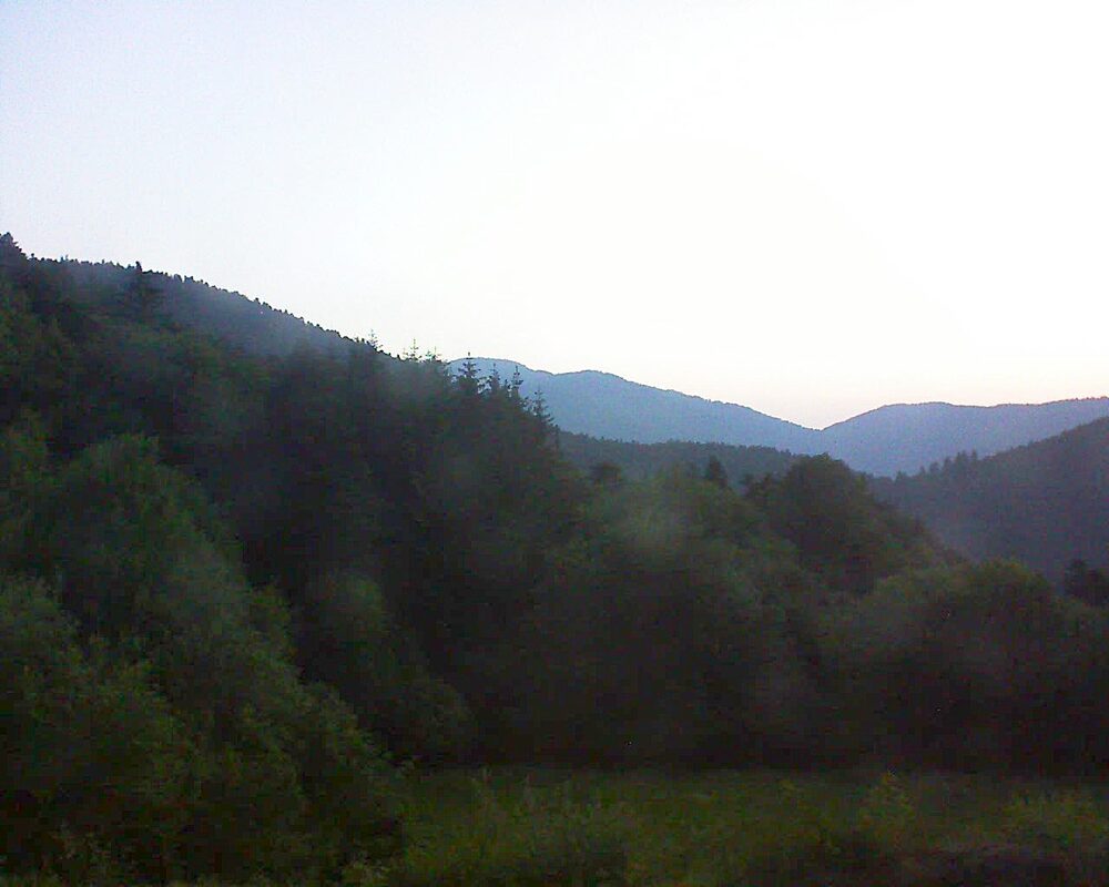Le petit ballon (Alsace, Vosges) le 19.06.2025 à 05:15