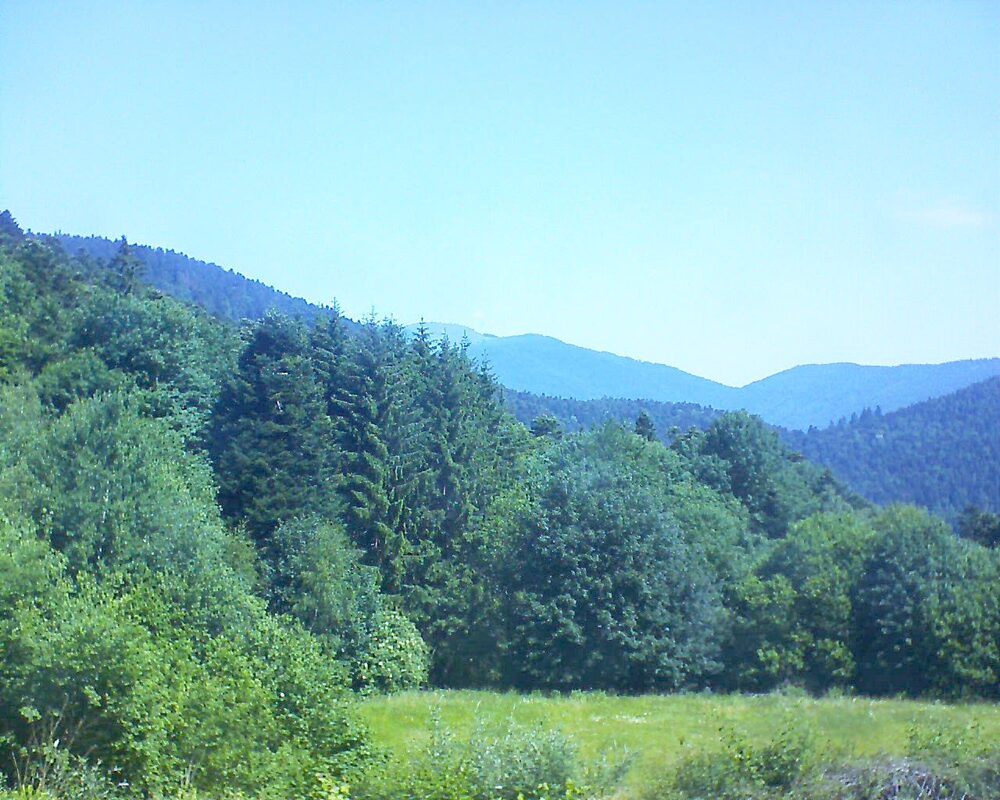 Le petit ballon (Alsace, Vosges) le 19.06.2025 à 11:15
