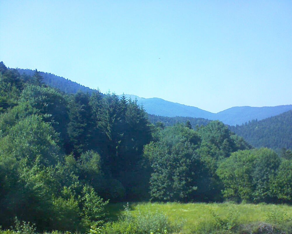 Le petit ballon vu depuis le Domaine Langmatt à Murbach le 19.06.2025 à 16:45 Le petit ballon (Alsace, Vosges) le 19.06.2025 à 16:45