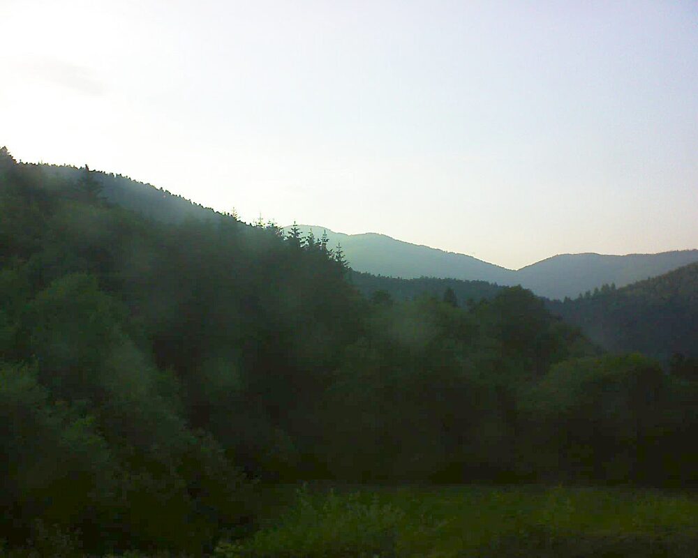 Le petit ballon (Alsace, Vosges) le 19.06.2025 à 20:30