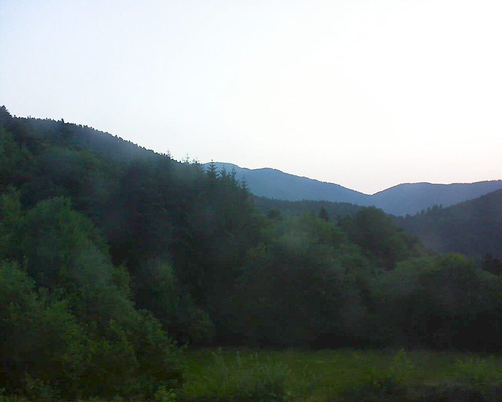 Le petit ballon (Alsace, Vosges) le 20.06.2025 à 05:30