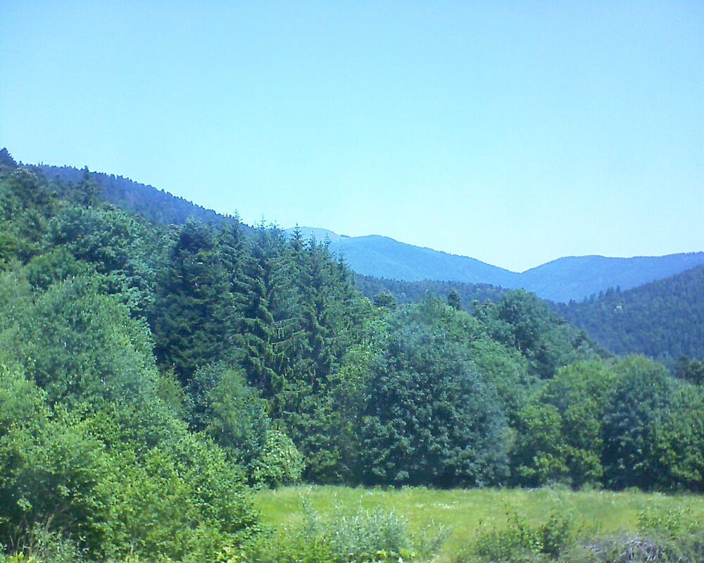 Le petit ballon (Alsace, Vosges) le 20.06.2025 à 12:15