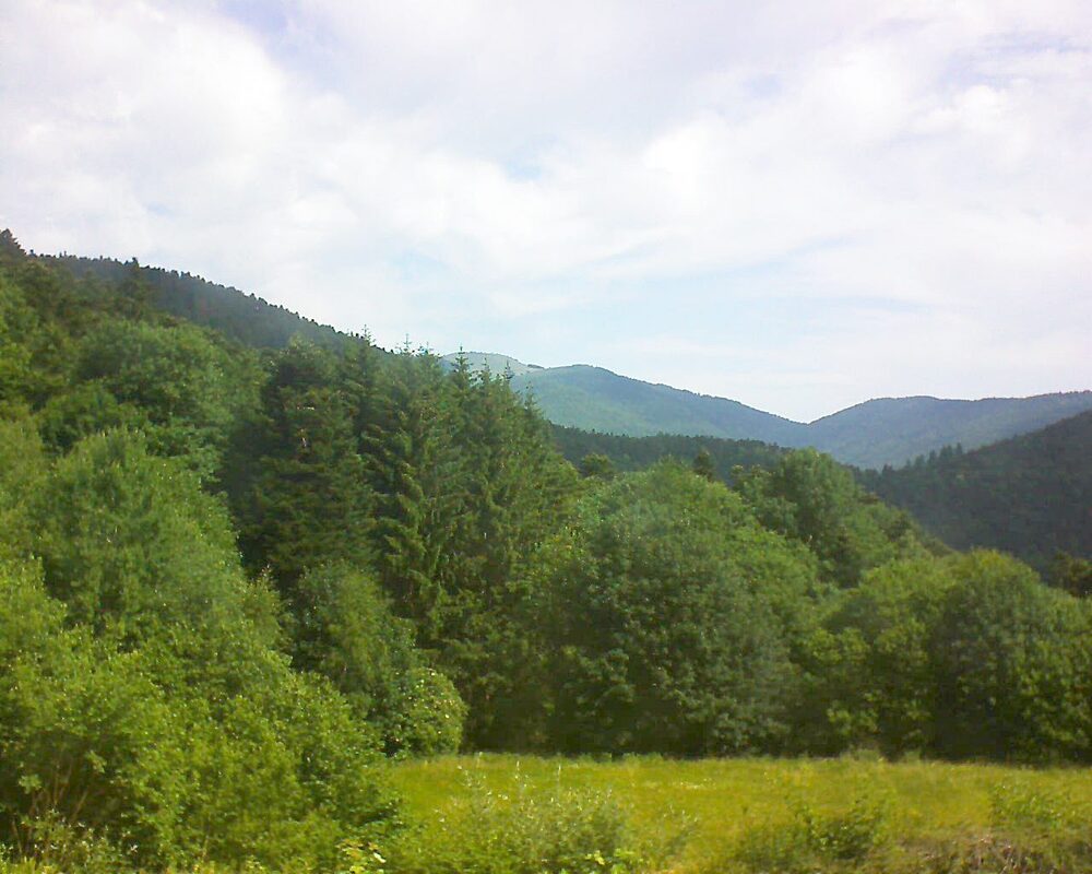 Le petit ballon (Alsace, Vosges) le 21.06.2025 à 10:45