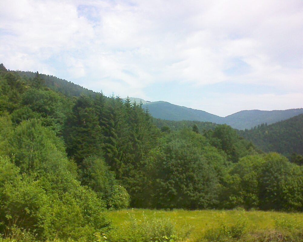 Le petit ballon vu depuis le Domaine Langmatt à Murbach le 21.06.2025 à 11:15 Le petit ballon (Alsace, Vosges) le 21.06.2025 à 11:15