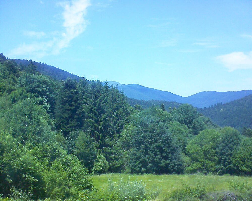 Le petit ballon (Alsace, Vosges) le 21.06.2025 à 14:15