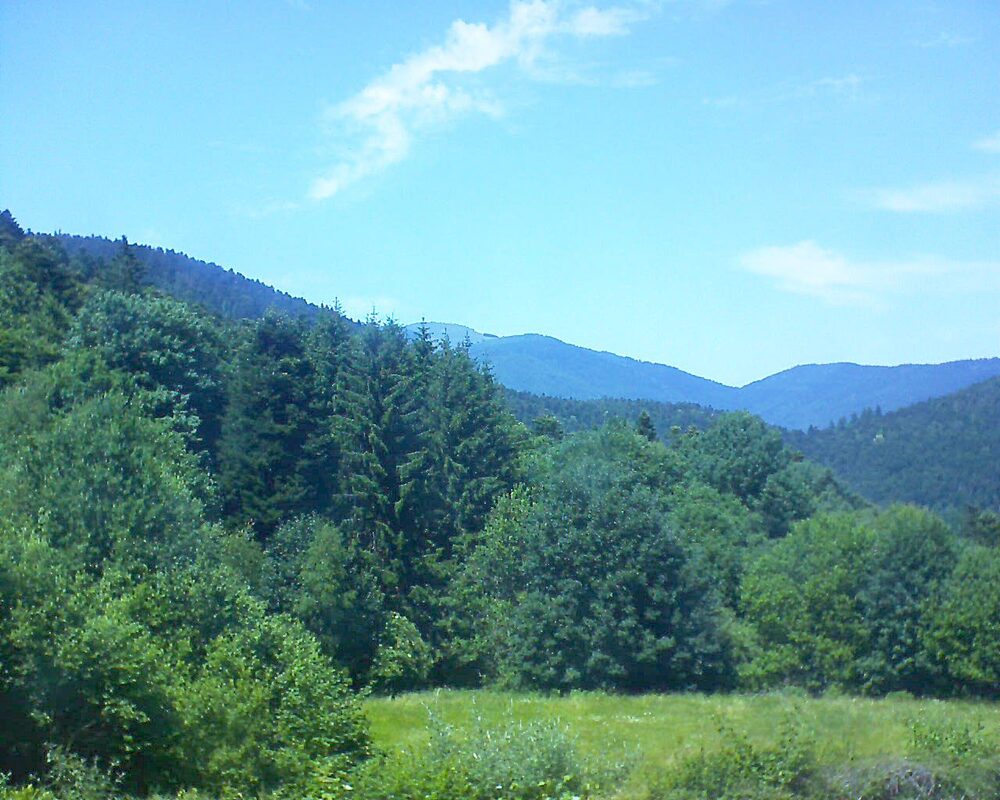 Le petit ballon vu depuis le Domaine Langmatt à Murbach le 21.06.2025 à 14:45 Le petit ballon (Alsace, Vosges) le 21.06.2025 à 14:45