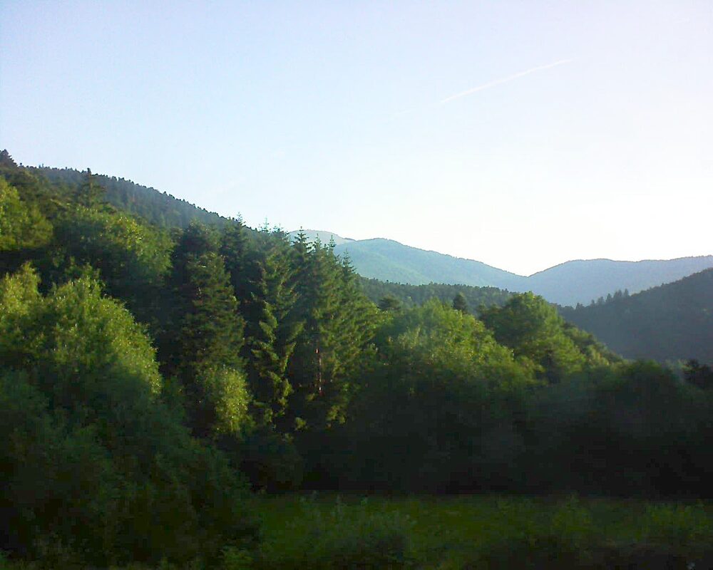 Le petit ballon (Alsace, Vosges) le 22.06.2025 à 07:15