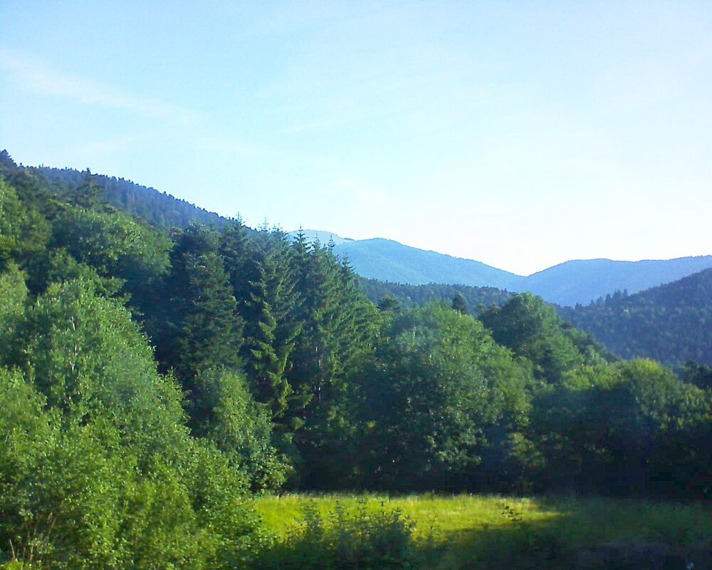 Le petit ballon (Alsace, Vosges) le 22.06.2025 à 08:15