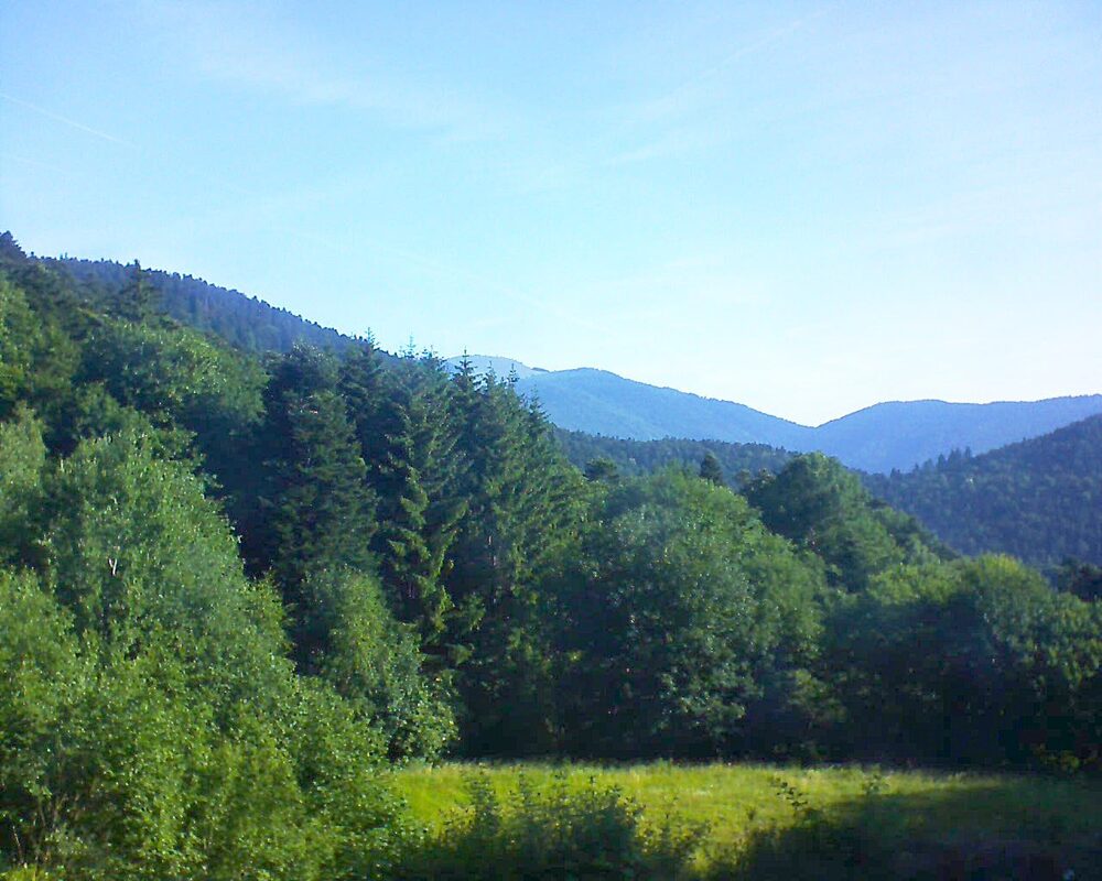 Le petit ballon (Alsace, Vosges) le 22.06.2025 à 08:30