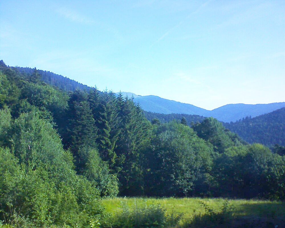 Le petit ballon (Alsace, Vosges) le 22.06.2025 à 08:45