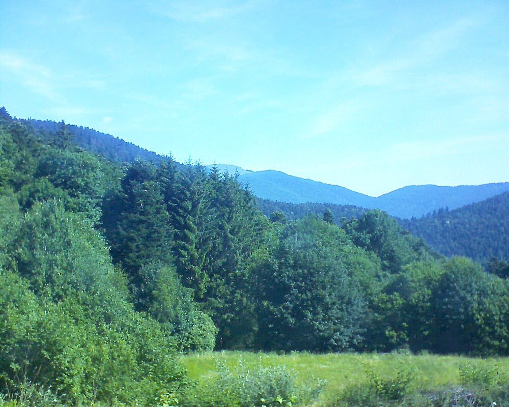 Le petit ballon (Alsace, Vosges) le 22.06.2025 à 10:15