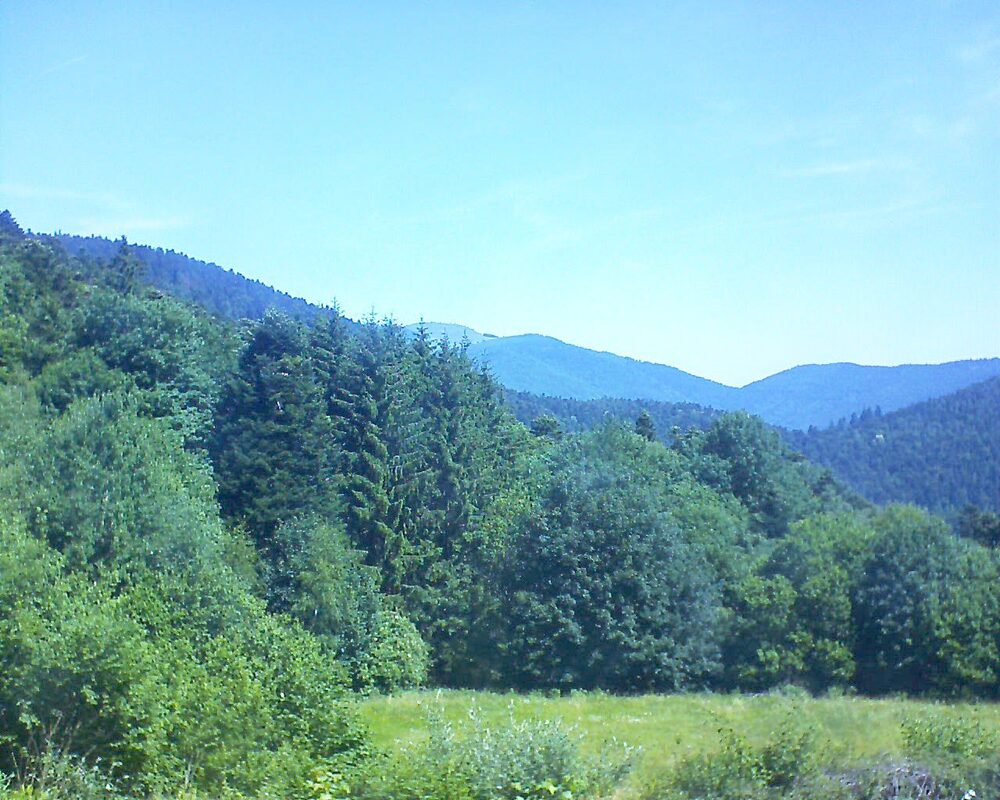 Le petit ballon vu depuis le Domaine Langmatt à Murbach le 22.06.2025 à 11:30 Le petit ballon (Alsace, Vosges) le 22.06.2025 à 11:30