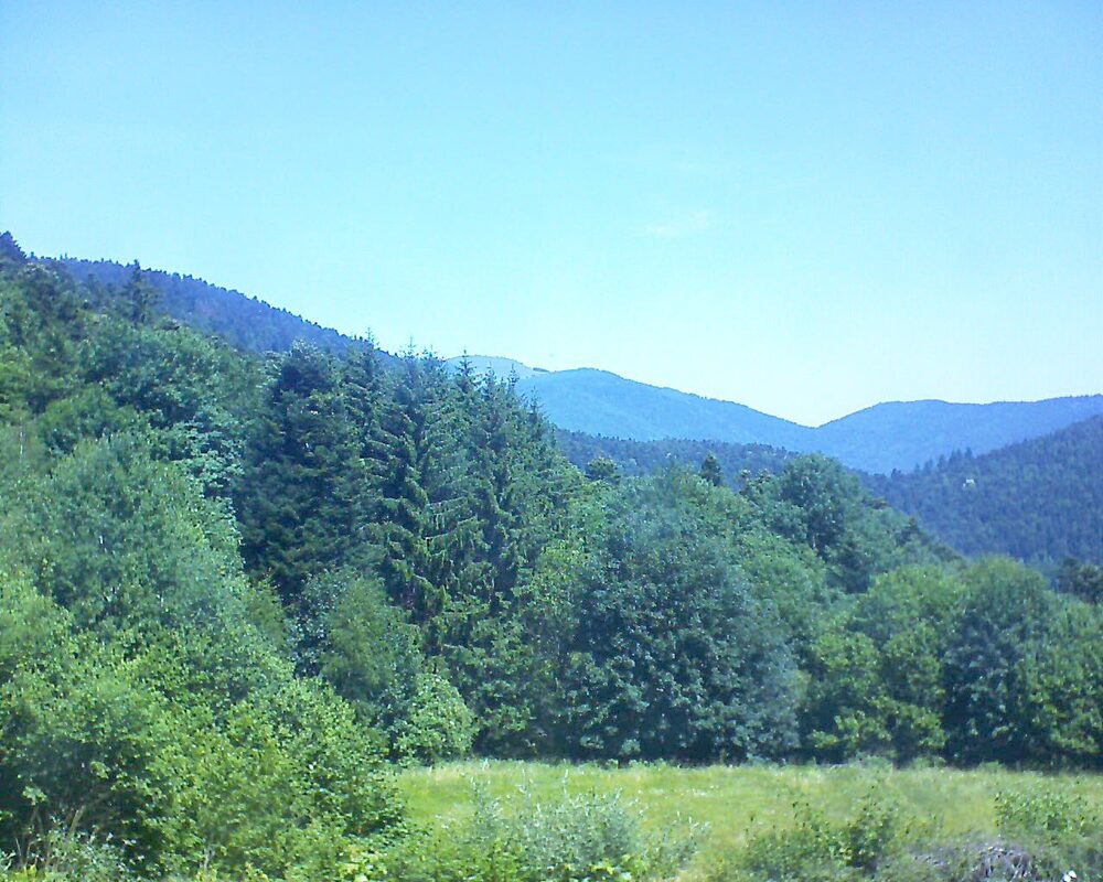 Le petit ballon (Alsace, Vosges) le 22.06.2025 à 12:15