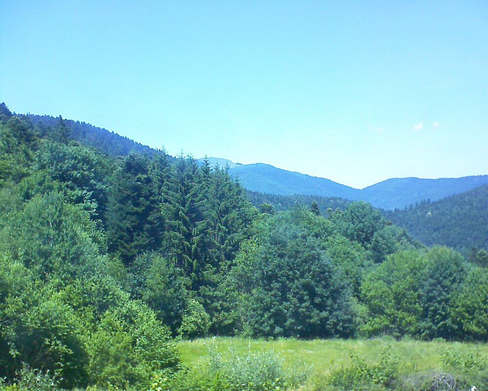 Le petit ballon (Alsace, Vosges) le 22.06.2025 à 14:15