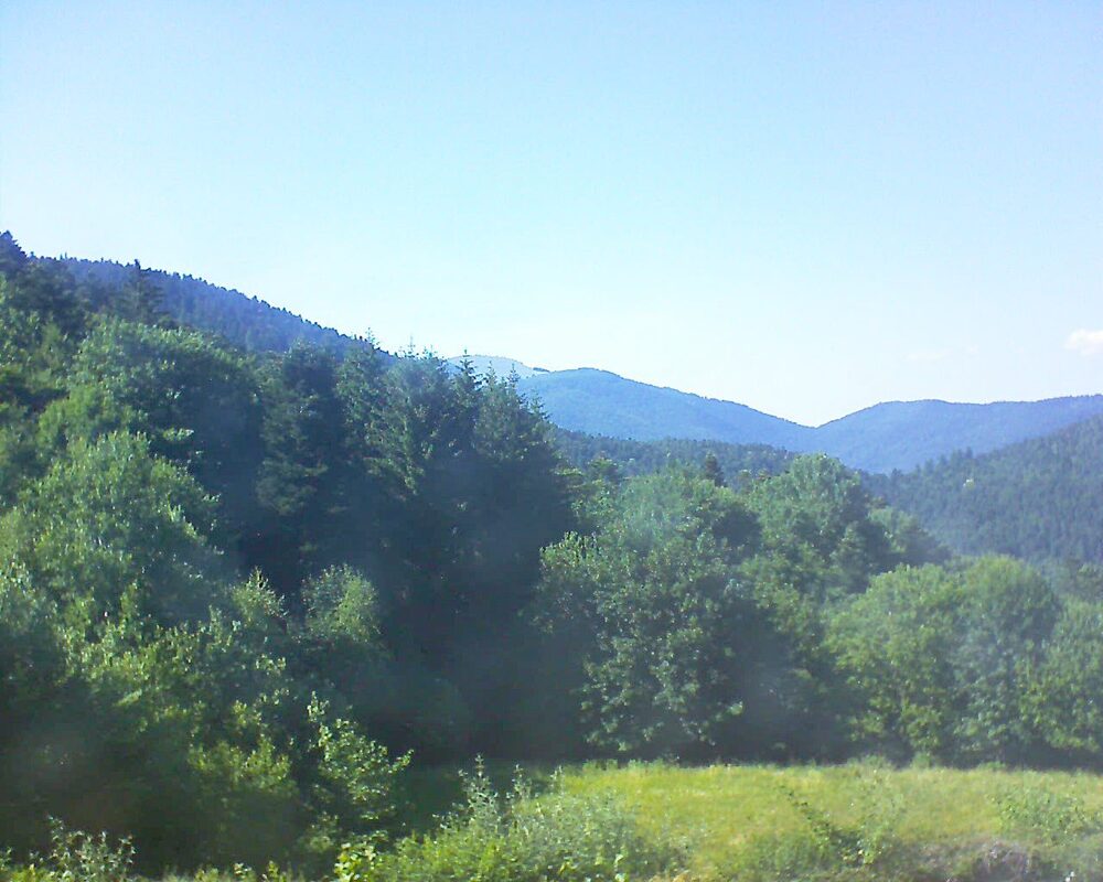 Le petit ballon (Alsace, Vosges) le 22.06.2025 à 17:15